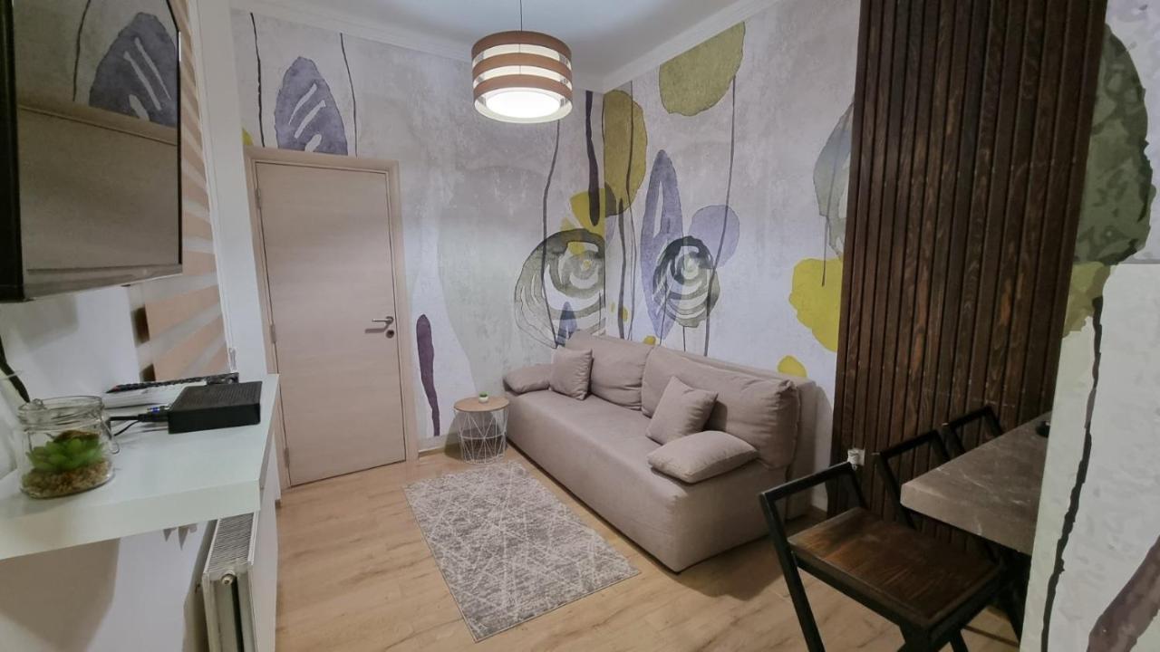 Ancora Apartment Anja Novi Sad Bagian luar foto